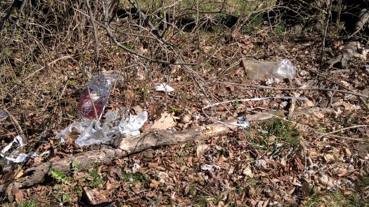 WP_20190326_14_43_29_Pro[1]